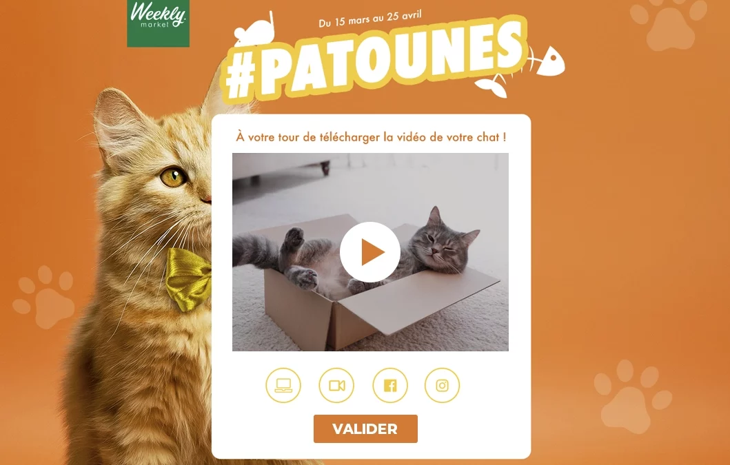 Concours video