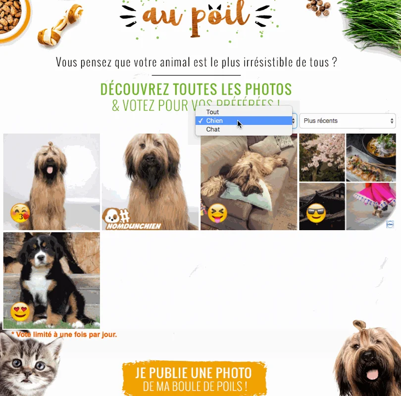 concours photo lidl