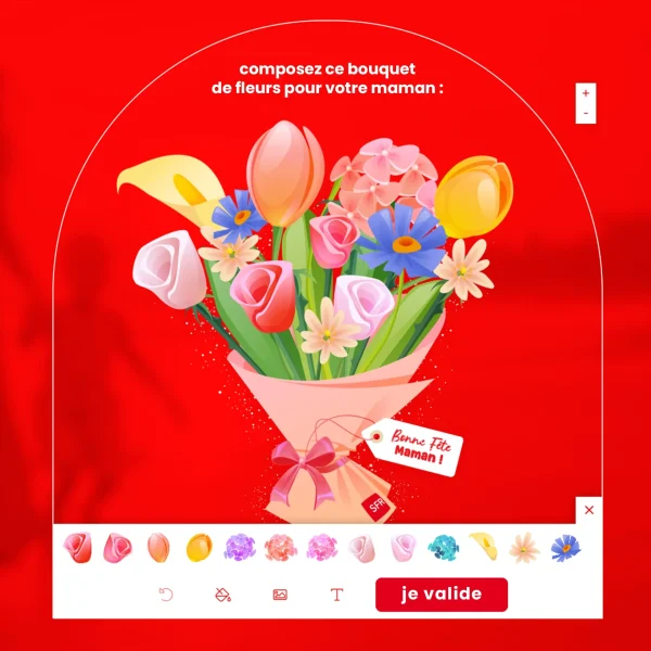 exemple customizer sfr