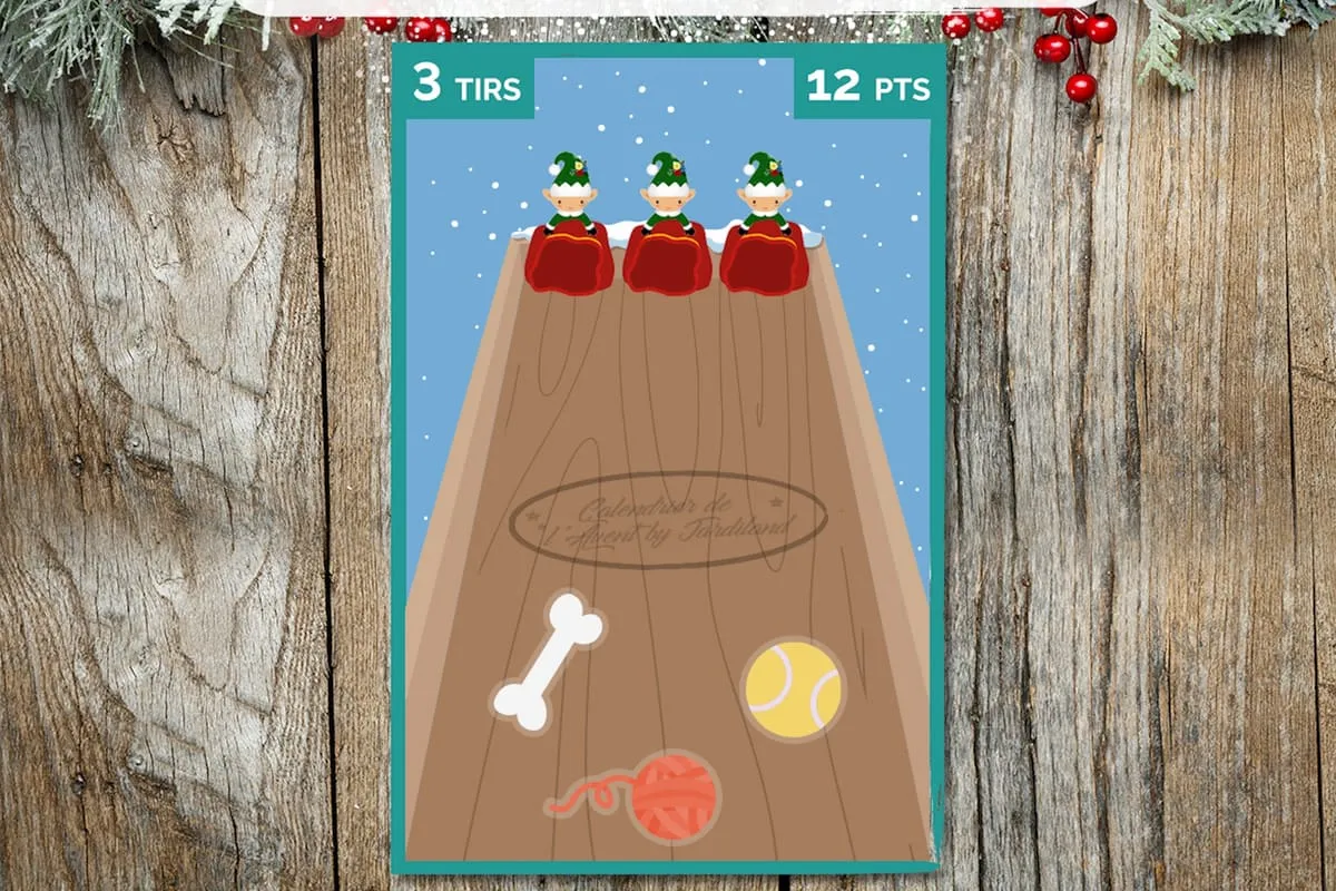 Jeu ShuffleBoard Jardiland