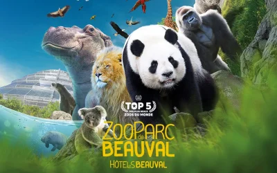De l&rsquo;écran à l&rsquo;enclos : la stratégie de gamification du ZooParc de Beauval